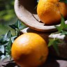 fruits_oranges